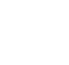 Dr Behave copy