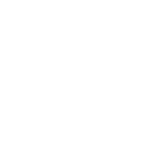 desert_rose copy